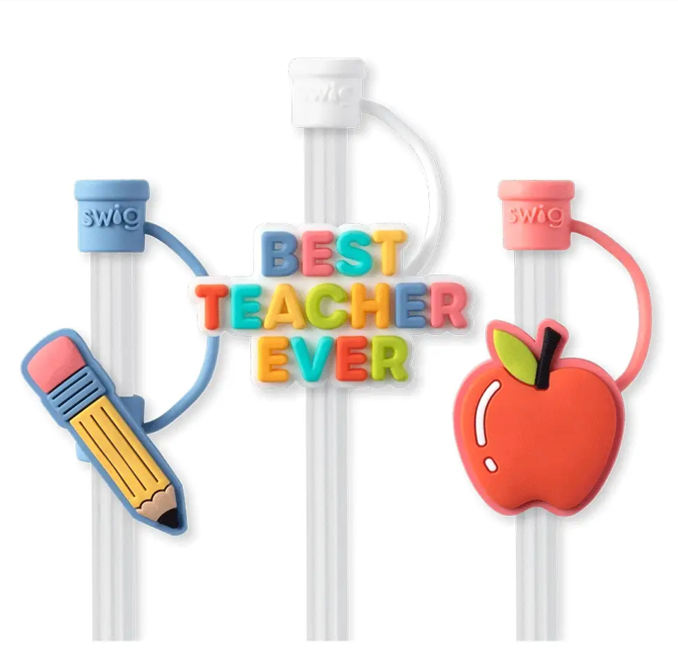 Teacher Life Straw Topper