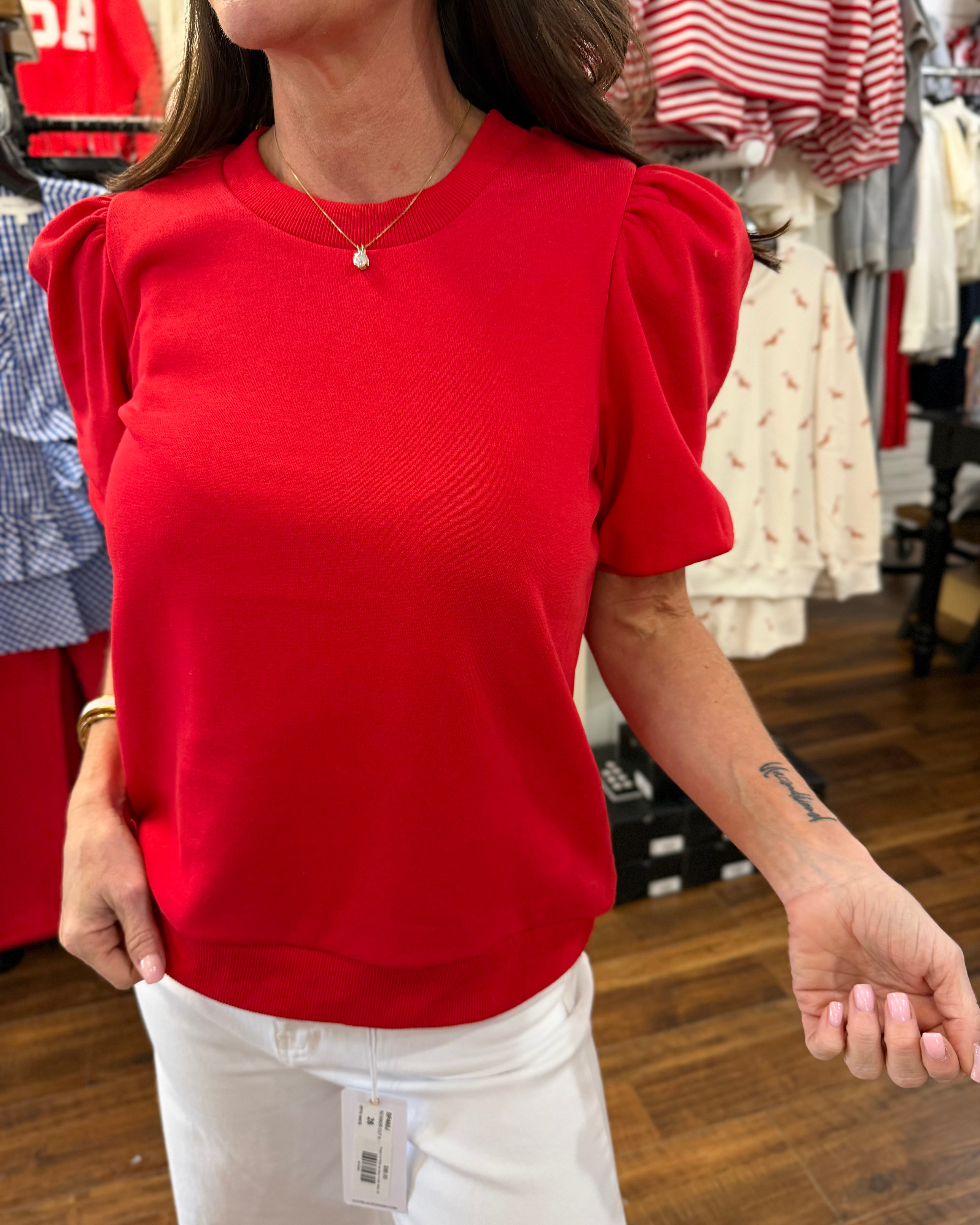 Crew Neck Puff Sleeve Knit Top