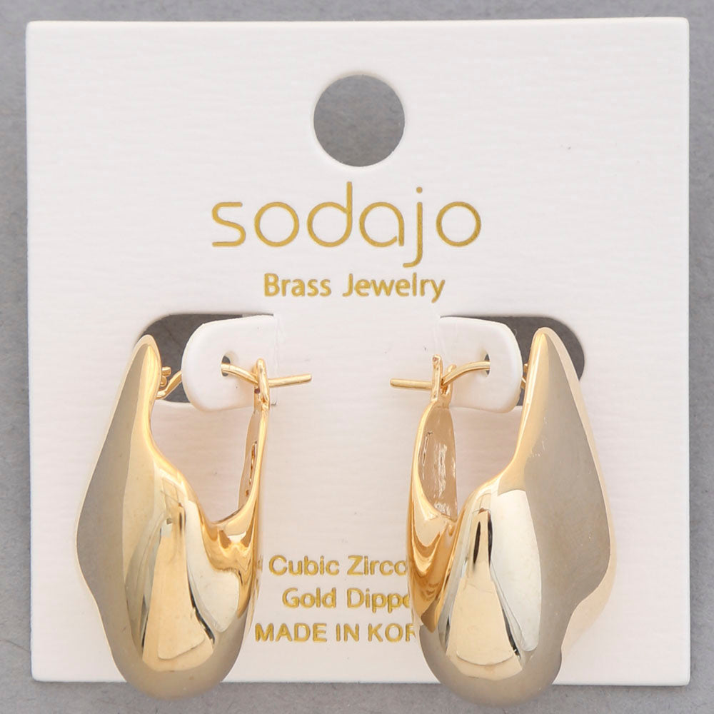 Organic Shaped Earring