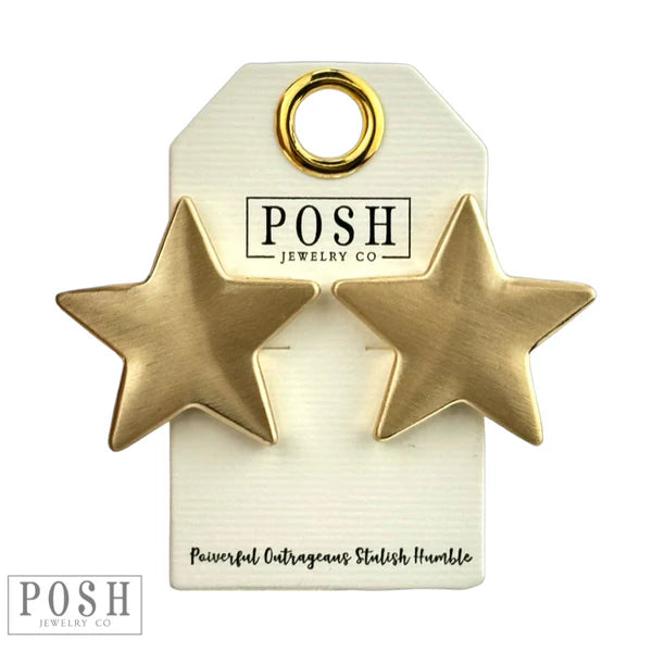 Brushed Finish Star Earring