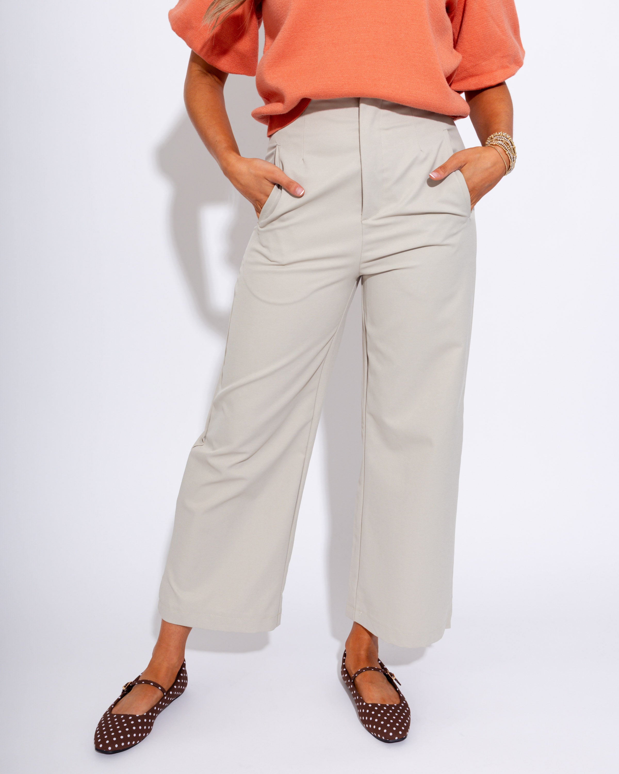 Sleek Sophisticated Wide Leg Pants in Beige