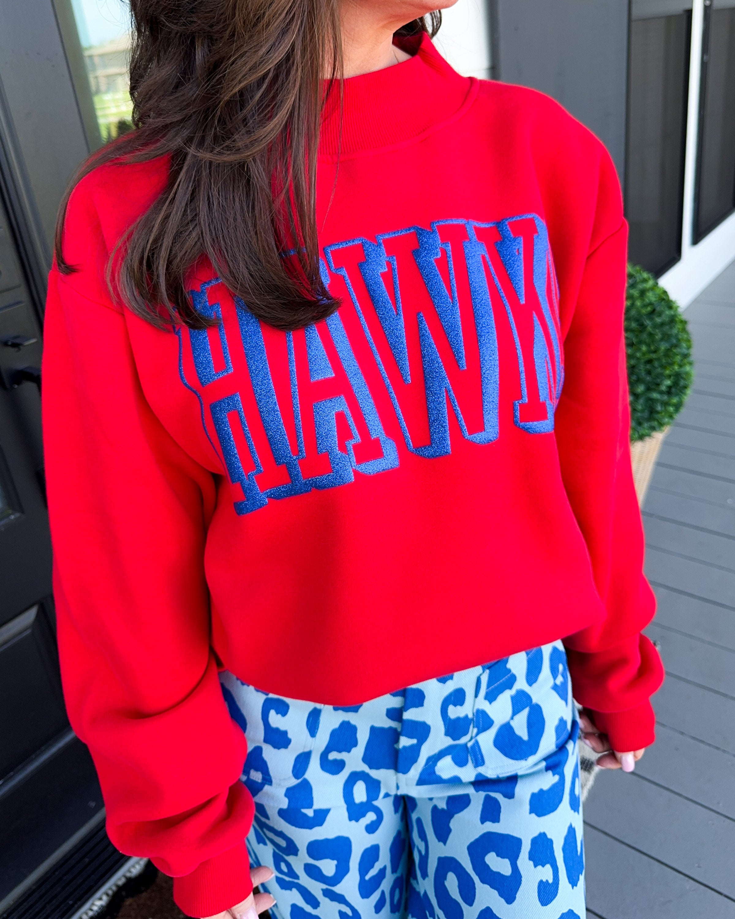 Hawk Glitter Mock Neck Pullover