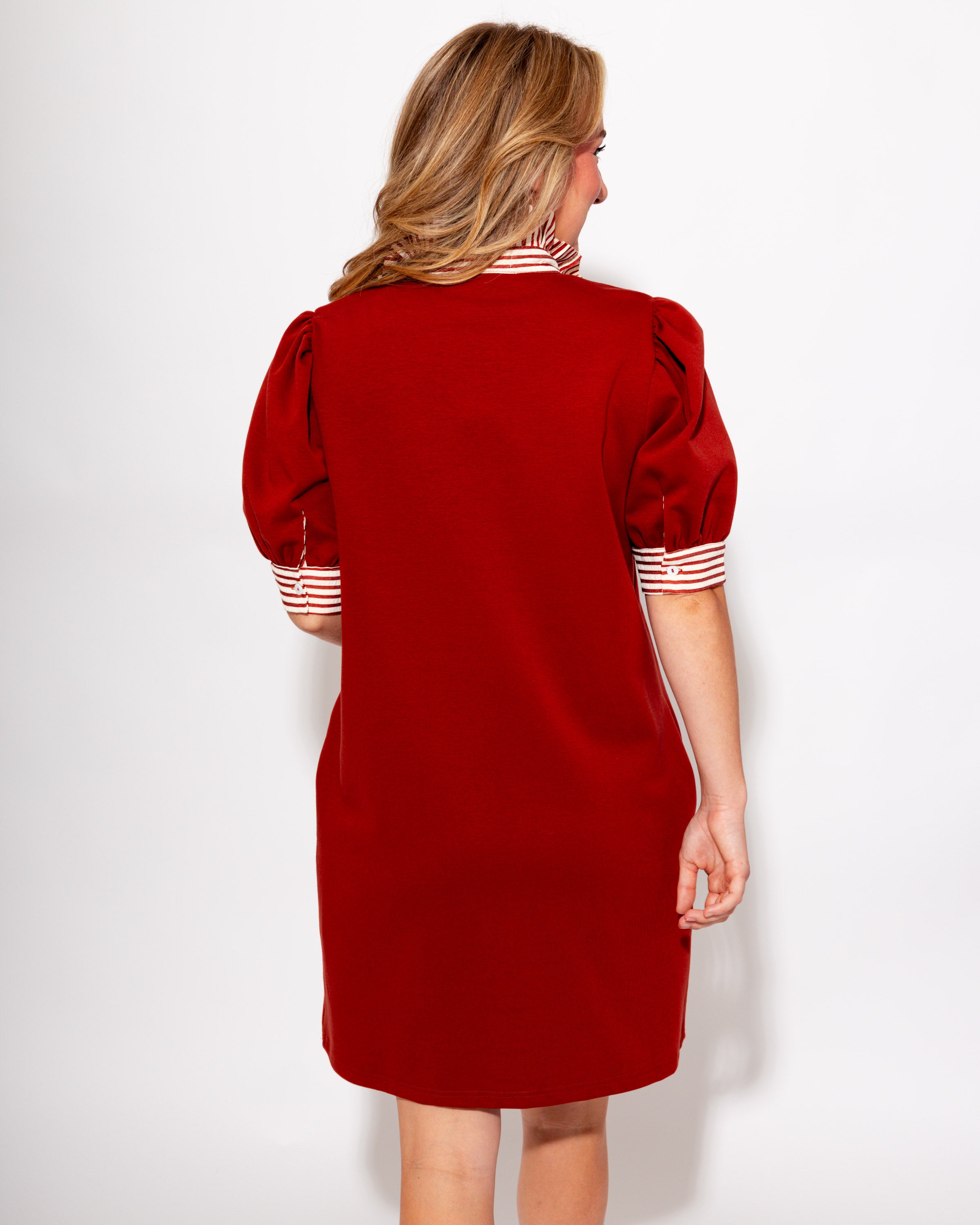 Rally Ready Polo Dress in Rust