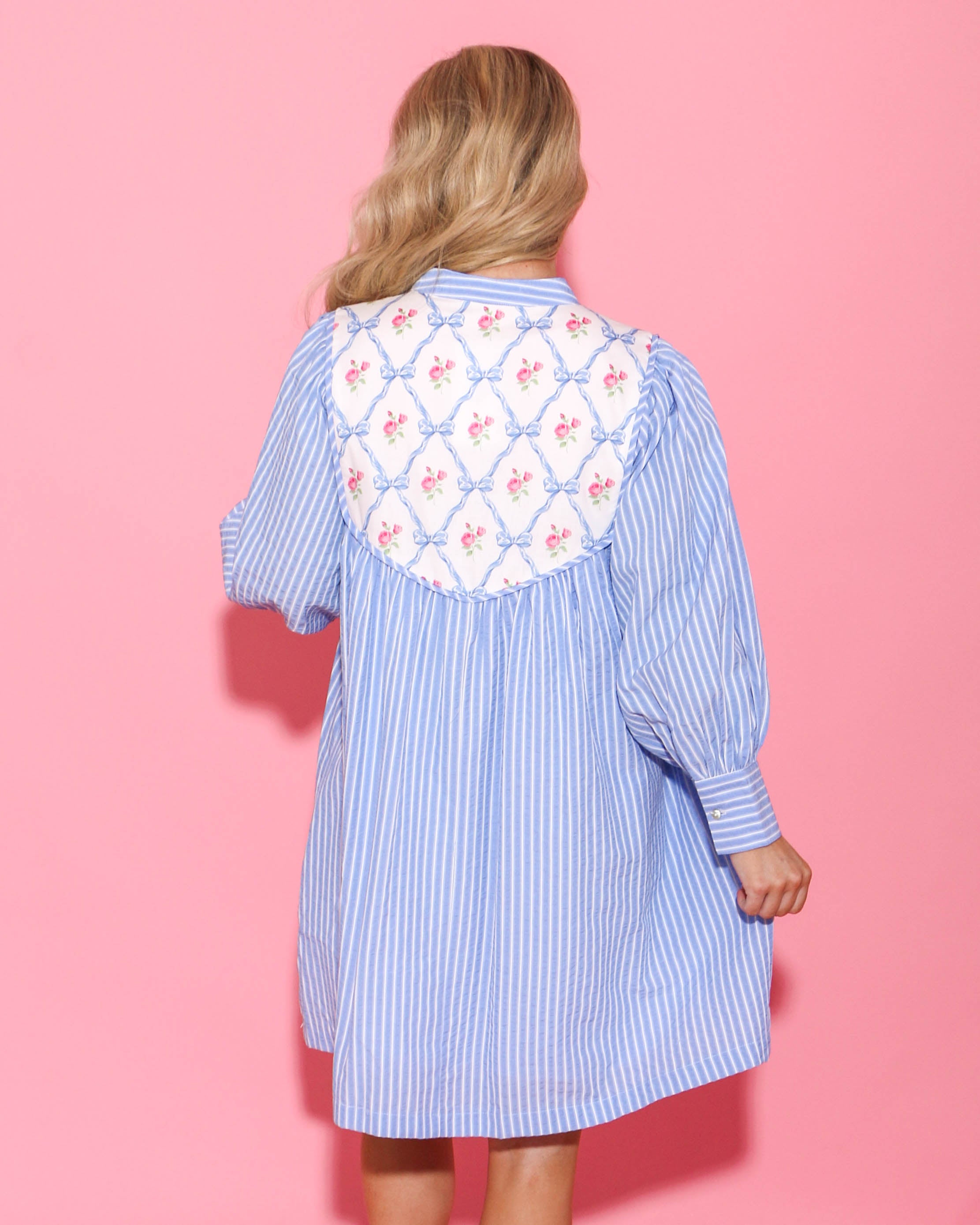 Blue Striped and Floral Ribbon Print Dress