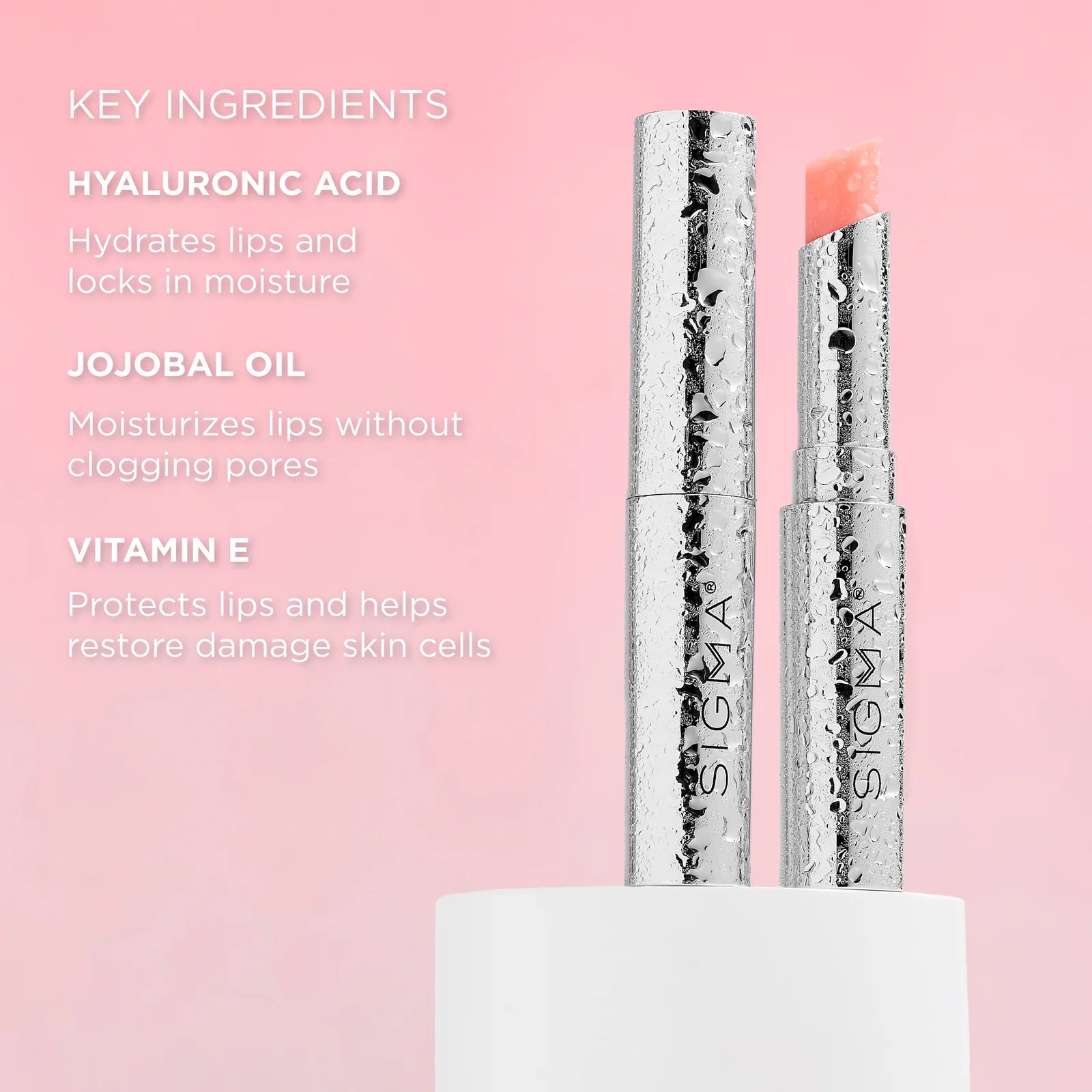 DEWY MOISTURIZING LIP BALM
