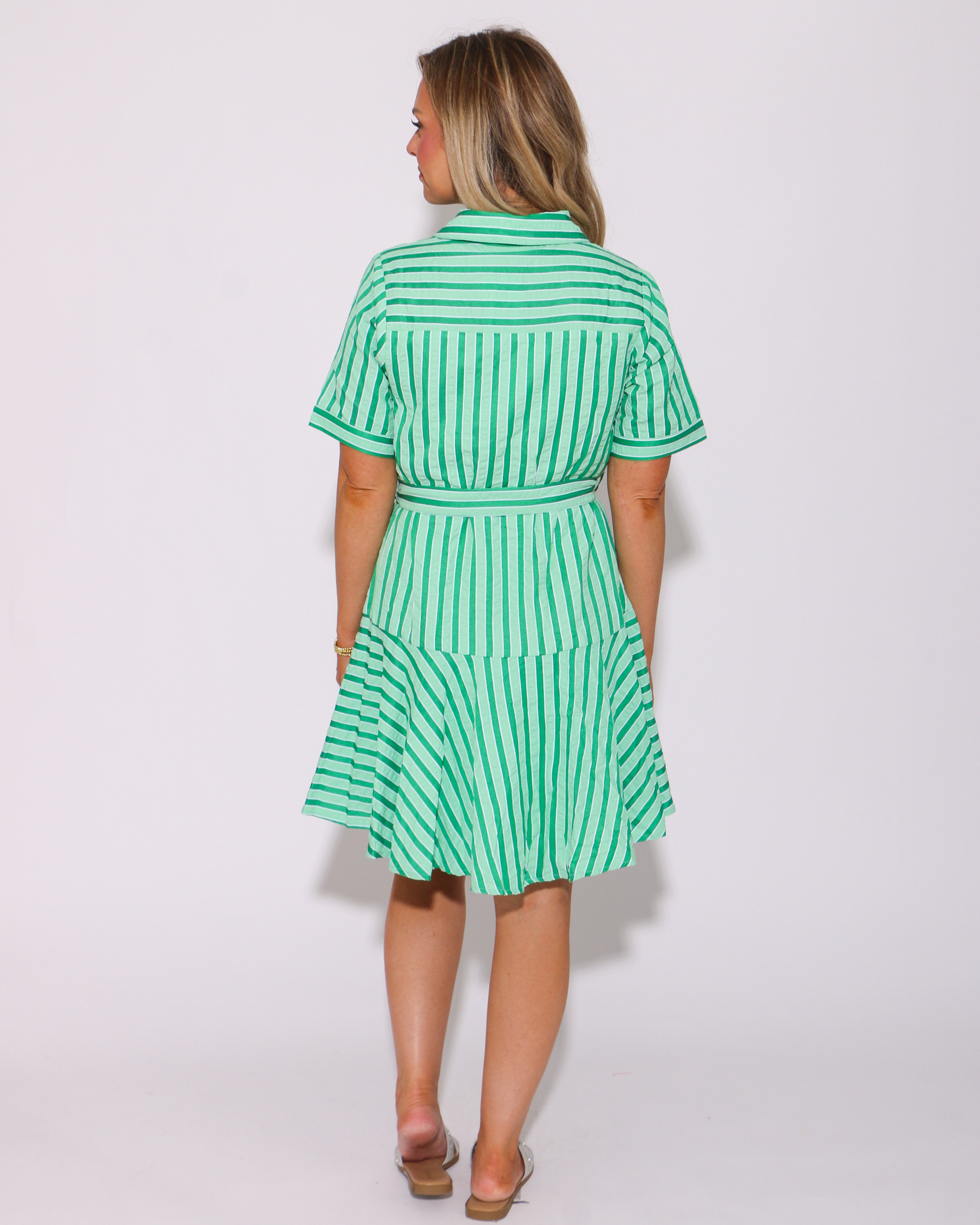 Sage and Stripes Tie Mini Green Dress
