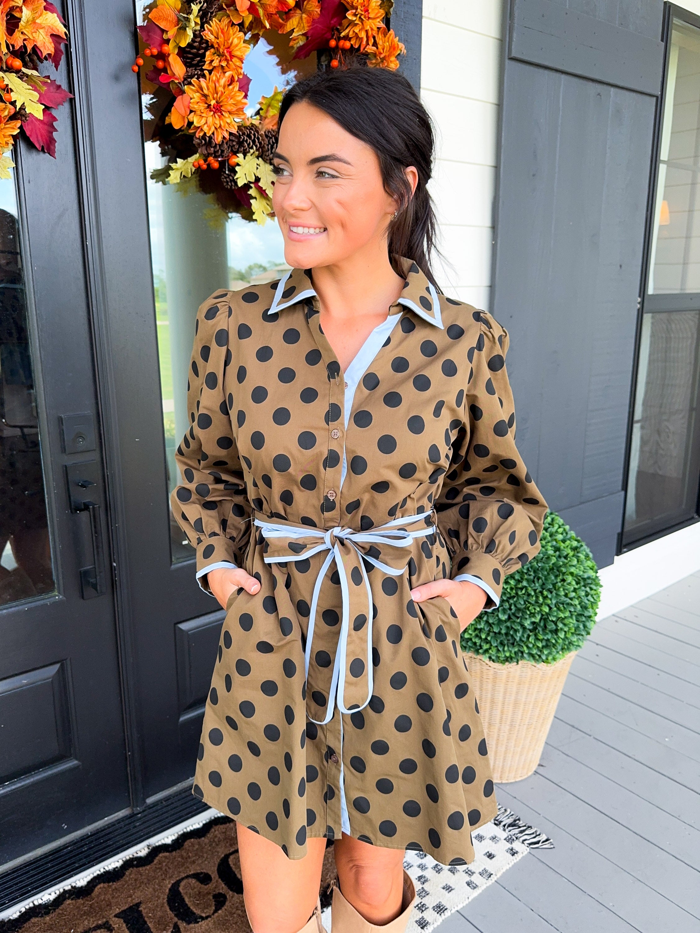 Polka Dot Waist Tie Mini