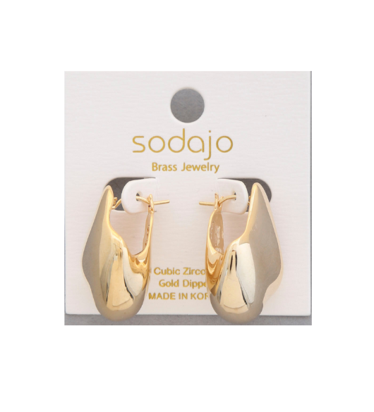 Organic Shaped Earring