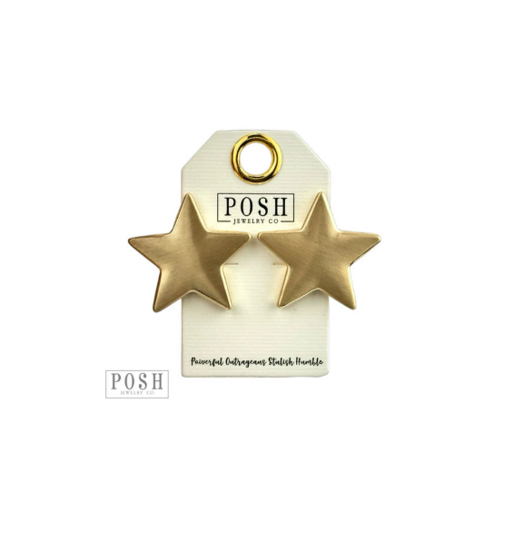 Brushed Finish Star Earring