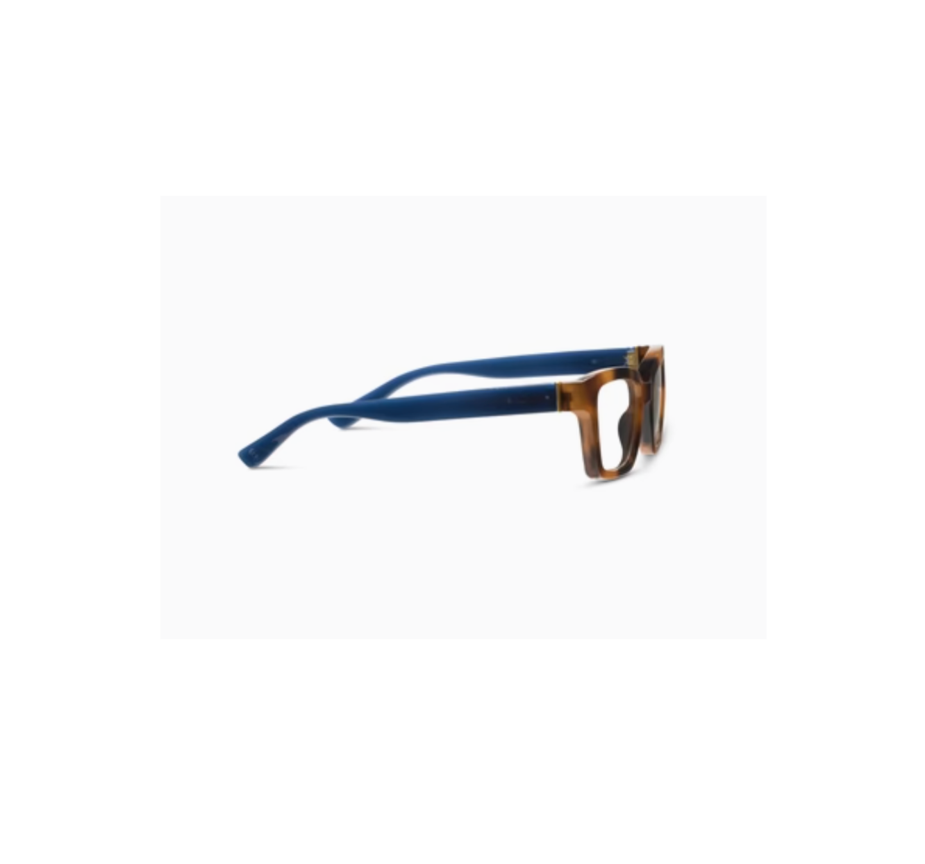 Siren- Mocha Tortoise/Navy