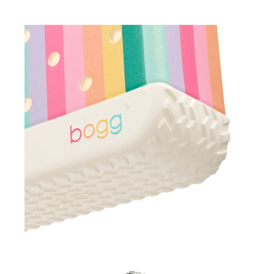 Bitty Bogg Bag in Color burst