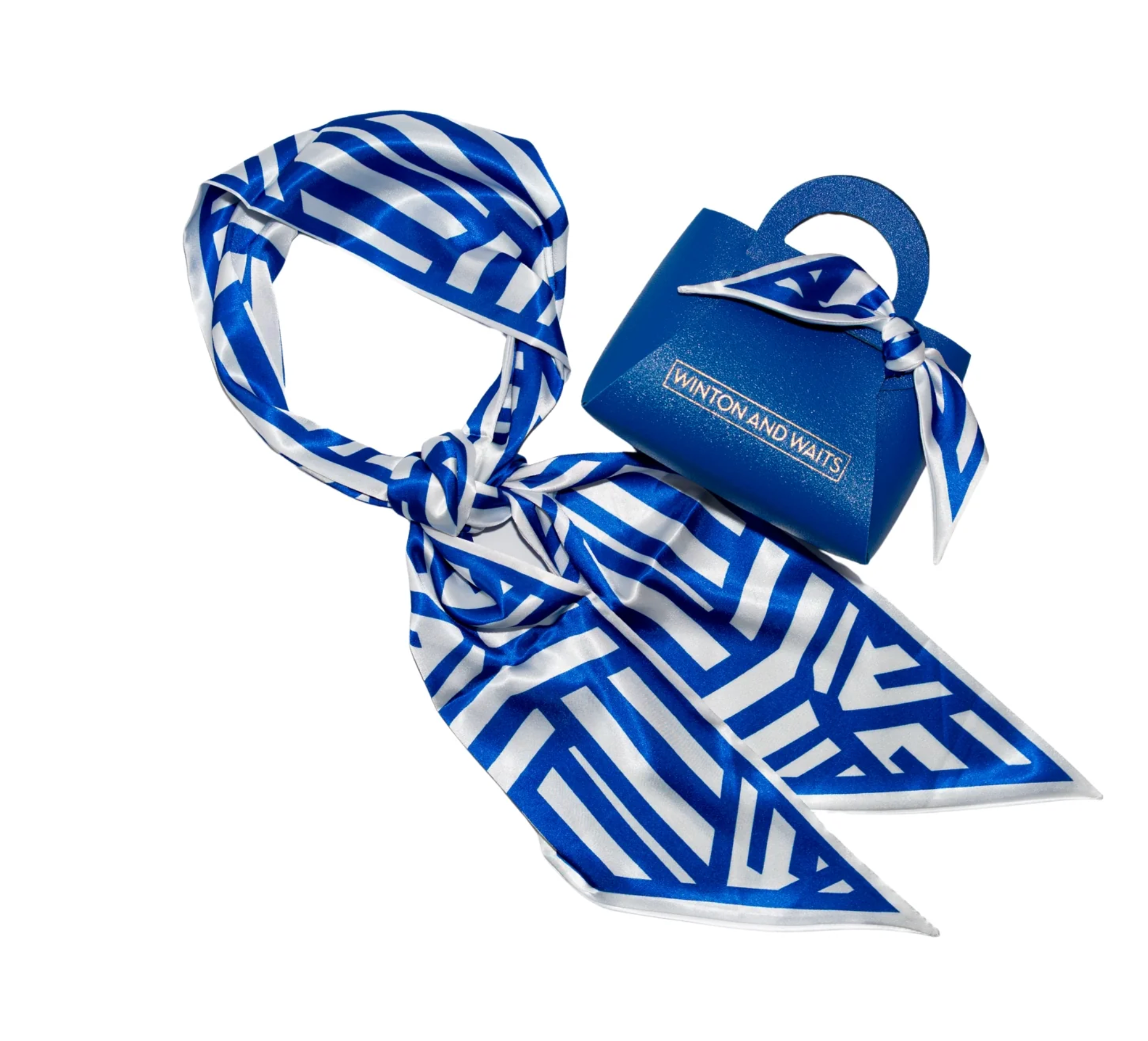 Game Day Accessory Scarf - Blue & White