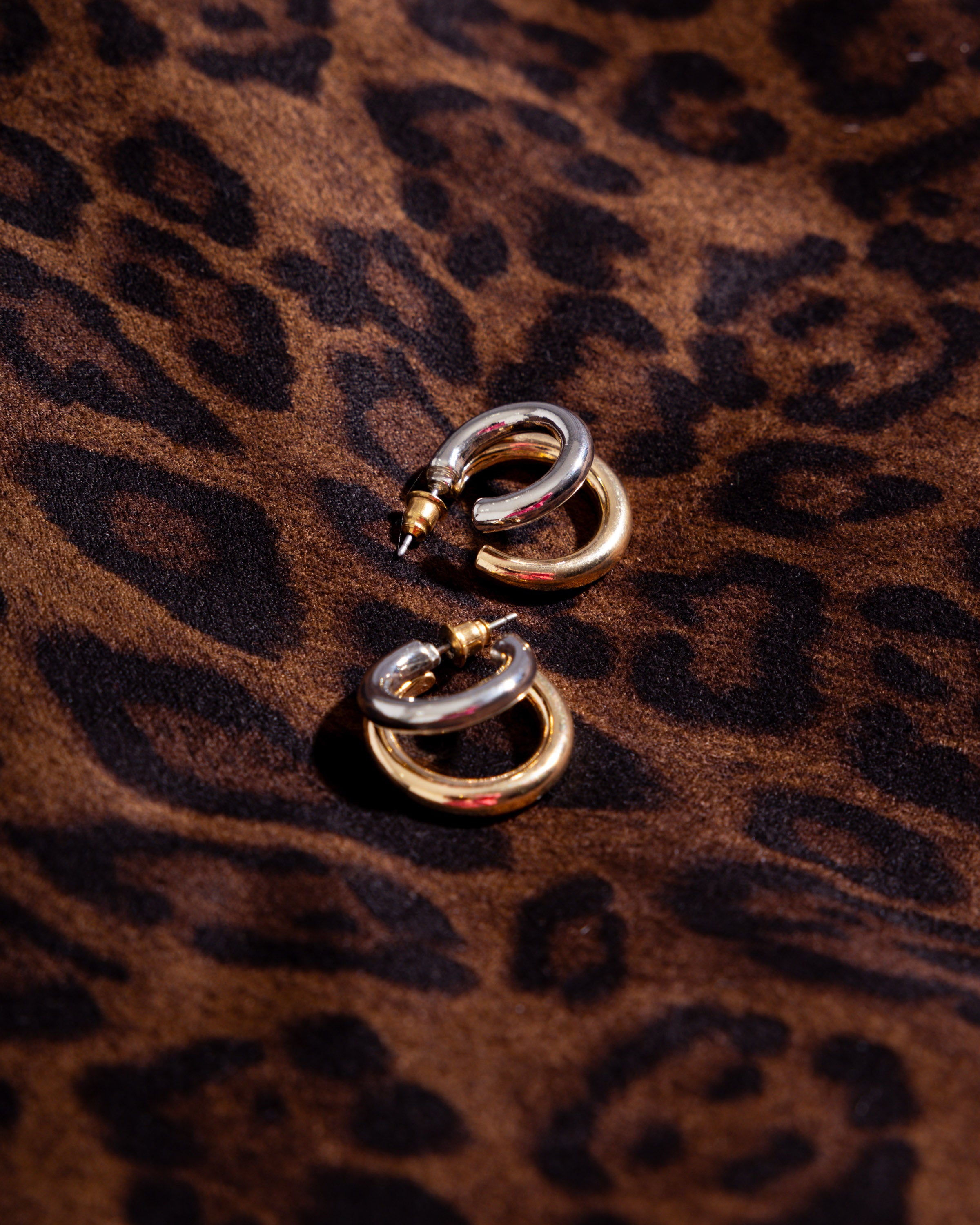 Double Hoop Two Tone Open Earring