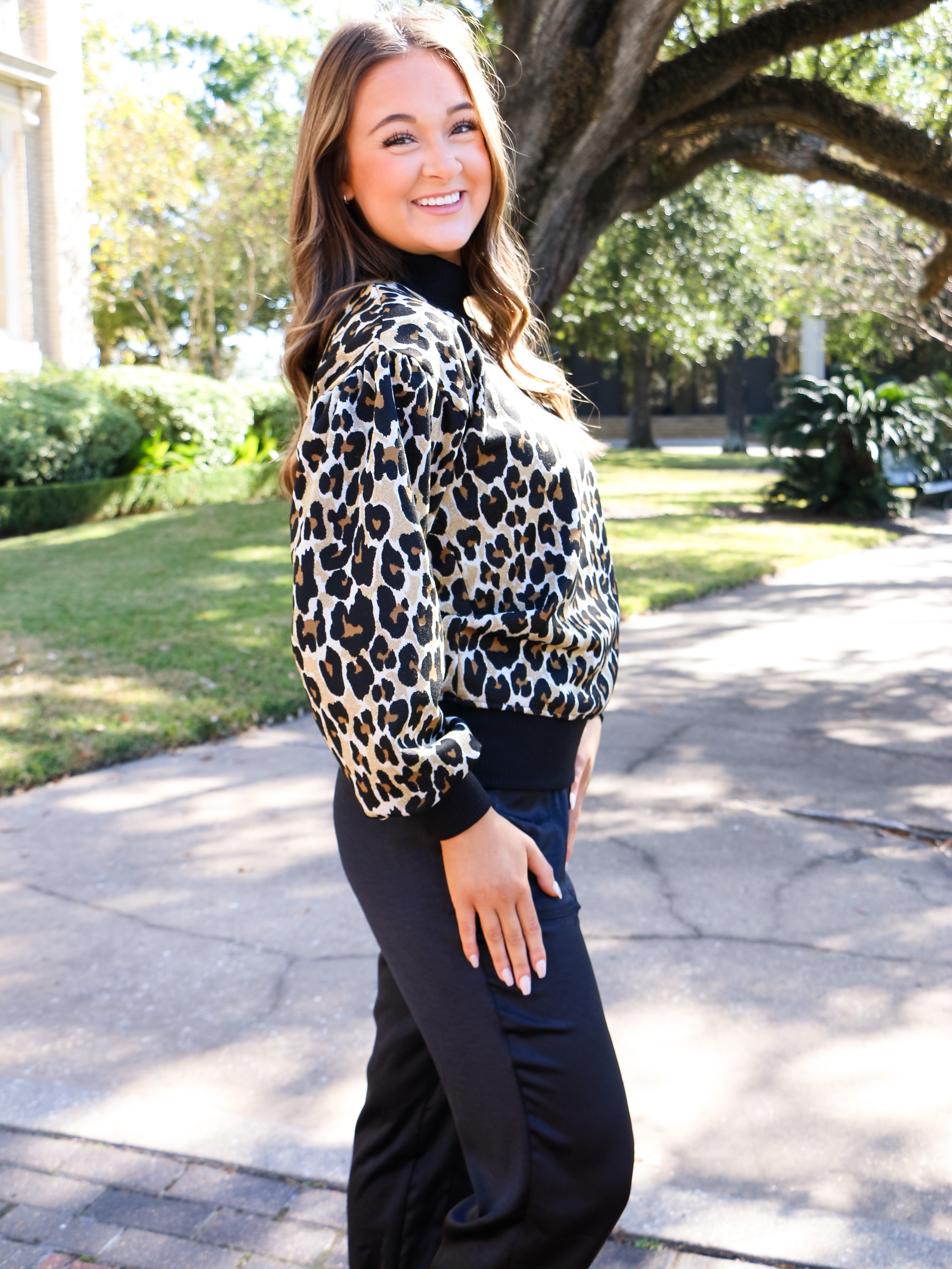 Leopard Metallic Popover
