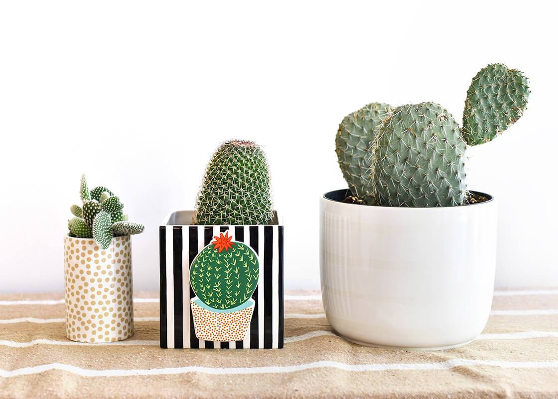 Black Stripe Mini Nesting Cube - Medium